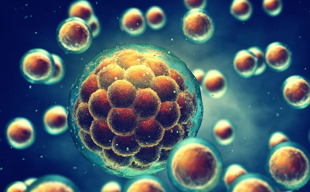 Graphic Image of Stem Cells