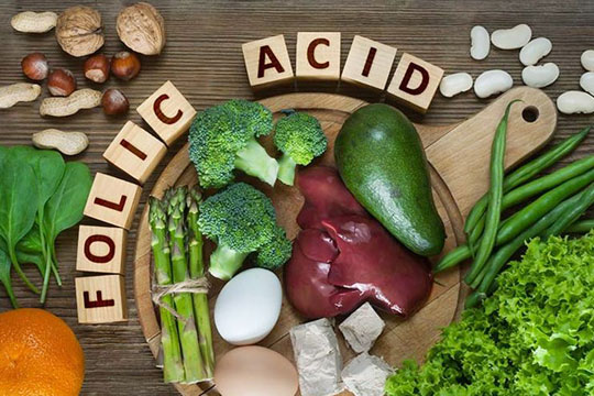 Collection of Folic Acid Rich Food